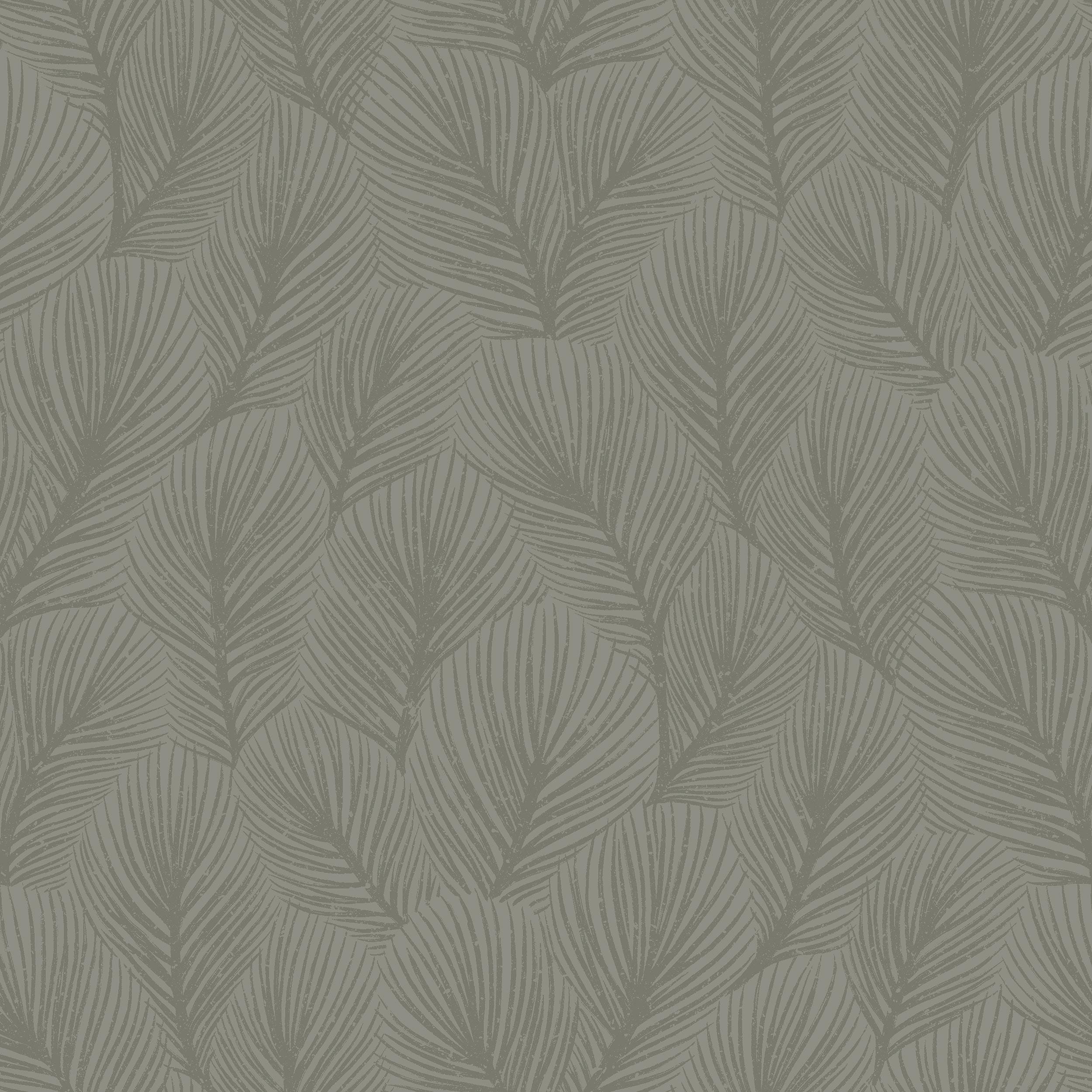 4704_Pine-Tree_Closeup.jpg
