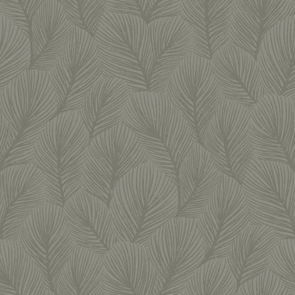 4704_Pine-Tree_Closeup.jpg