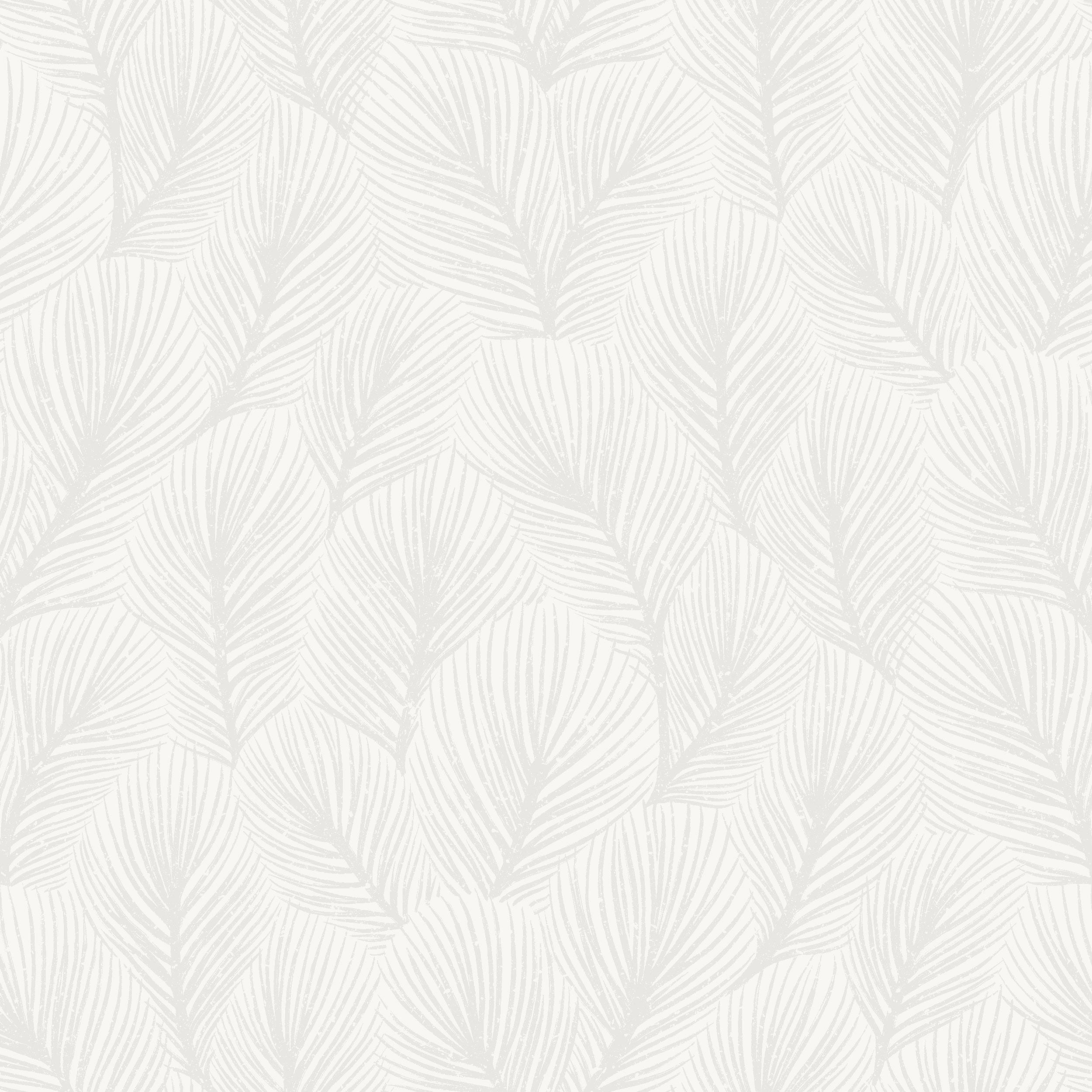 4705_Pine-Tree_Closeup.jpg