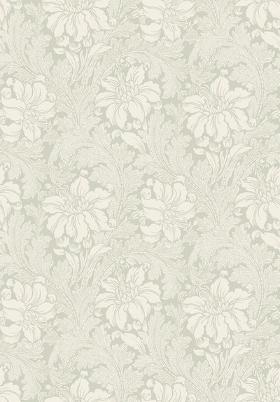 swatch image for Acanthus