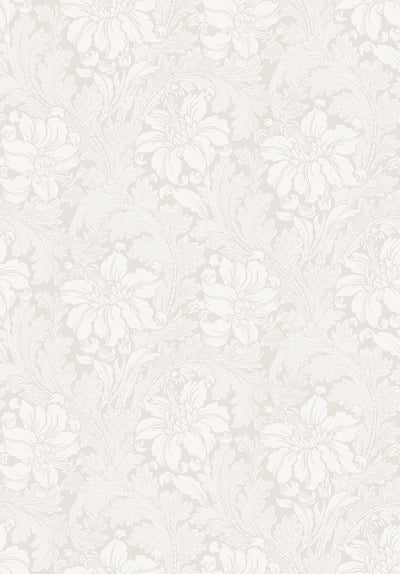 swatch image for Acanthus