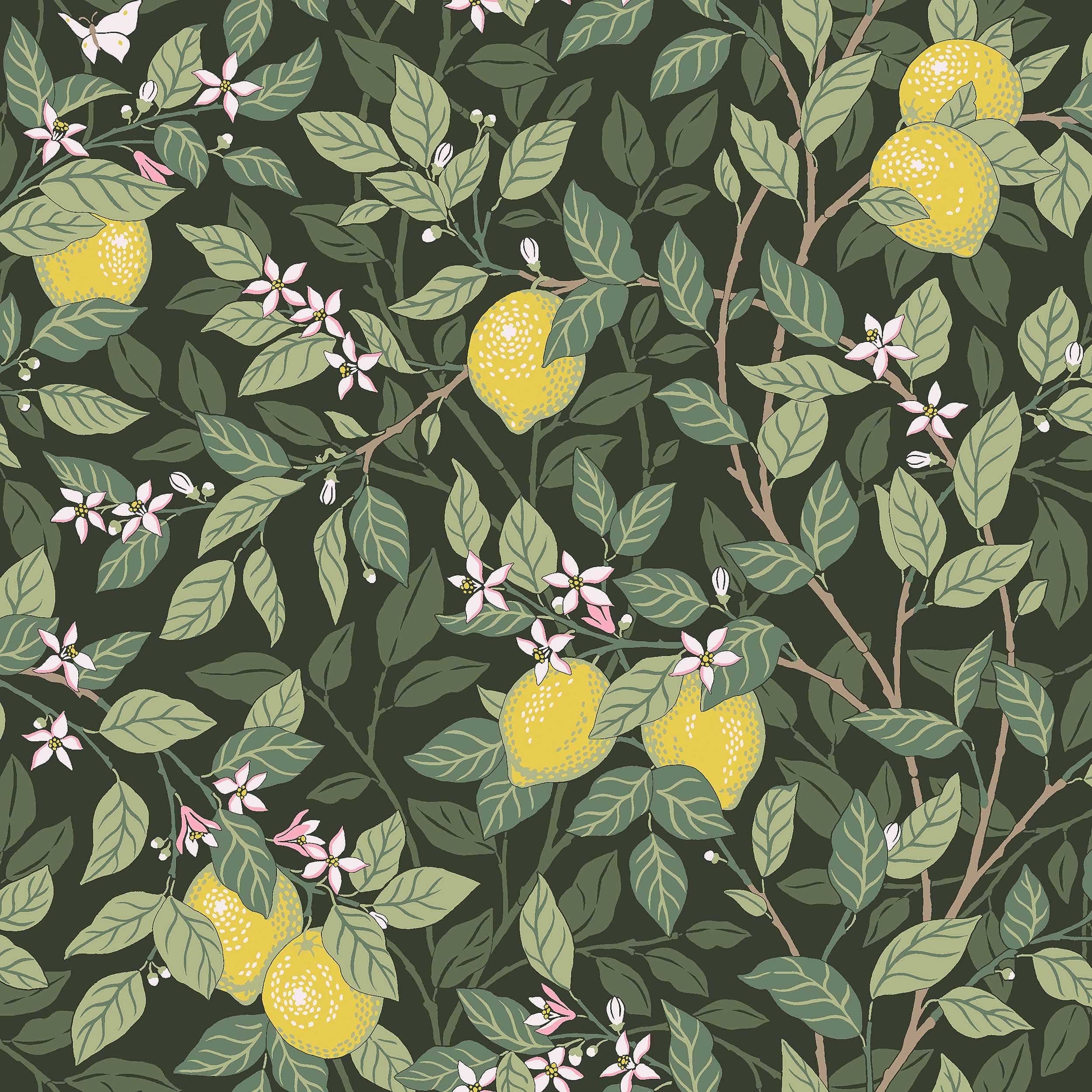 5701_Citrontrad_Closeup.jpg