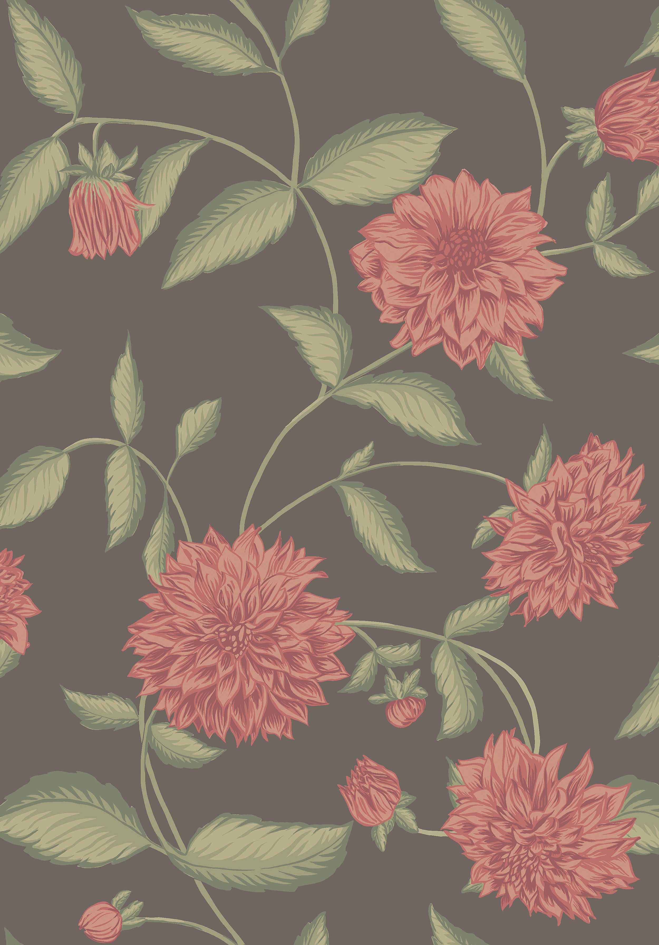 Dahlia Dream, 5719, Brown wallpaper – Boråstapeter