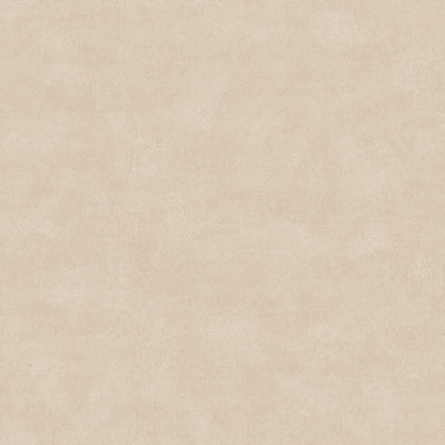 swatch image for Shades Amber