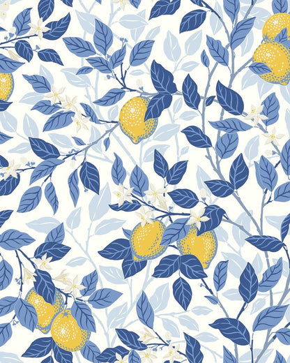 6150_Citronträd_CroppedImage.jpg