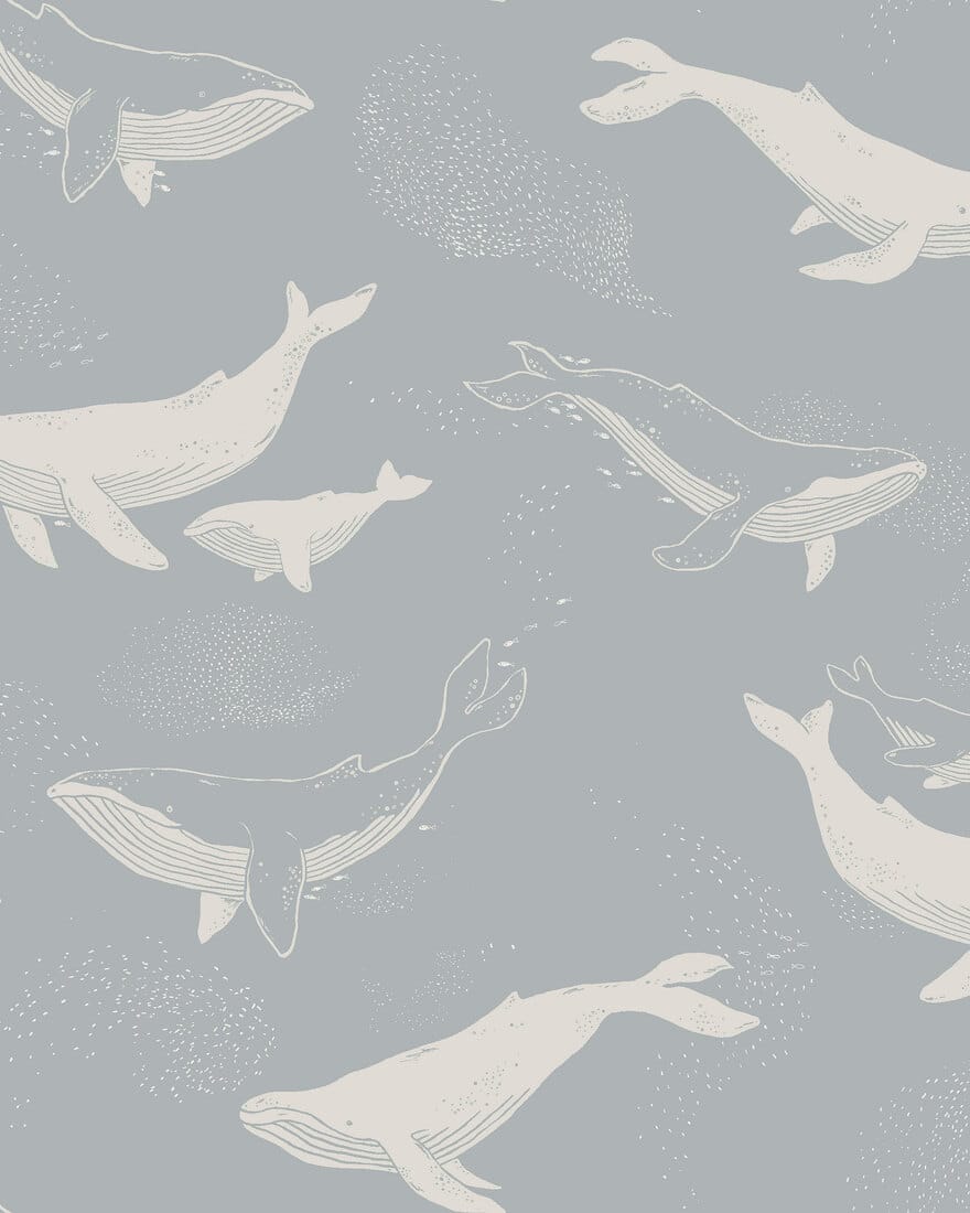 6942_Whales_CroppedImage.jpg