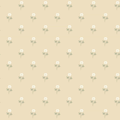 swatch image for Anemone