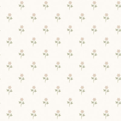 swatch image for Anemone