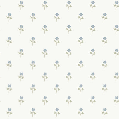 swatch image for Anemone