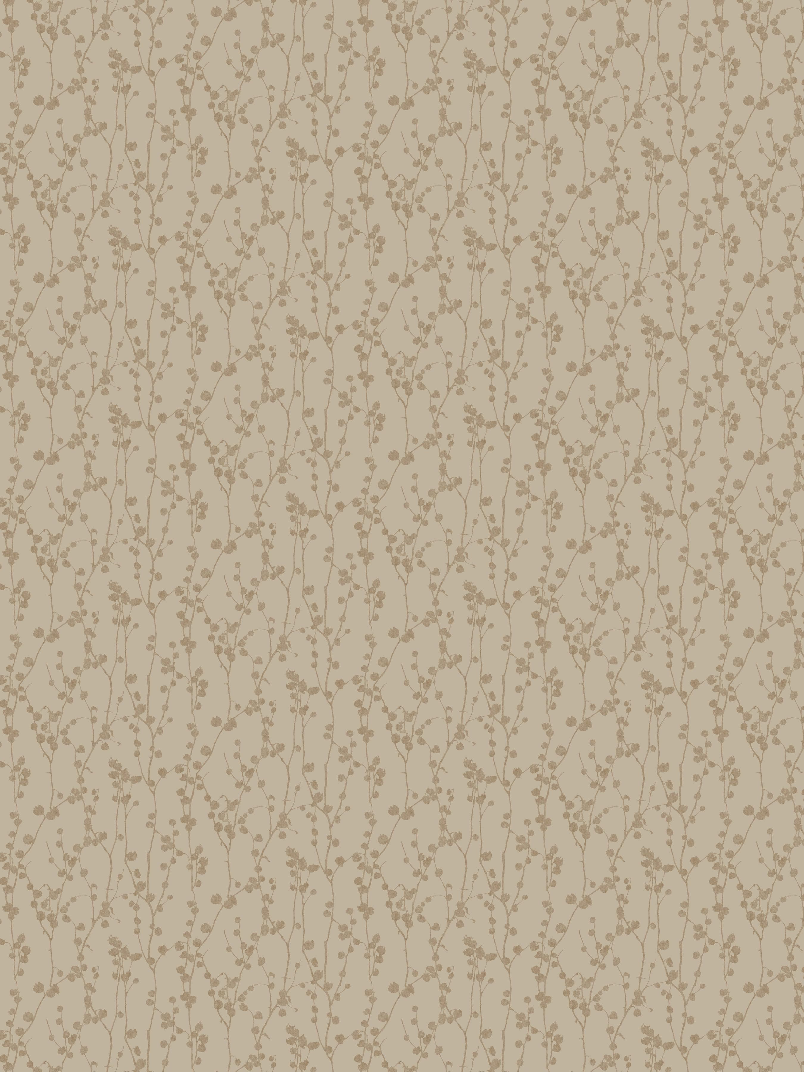 7424_Disa_Closeup.jpeg
