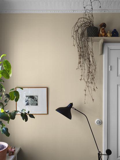 7555_SorbetYellow_Roomshot_Hallway.jpg