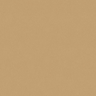 swatch image for Desert Sand