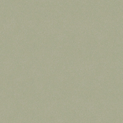 swatch image for Olivine Sand