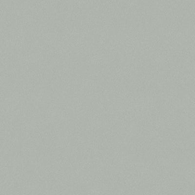 swatch image for Cambrian Sand