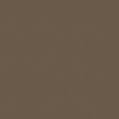 swatch image for Earth Sand