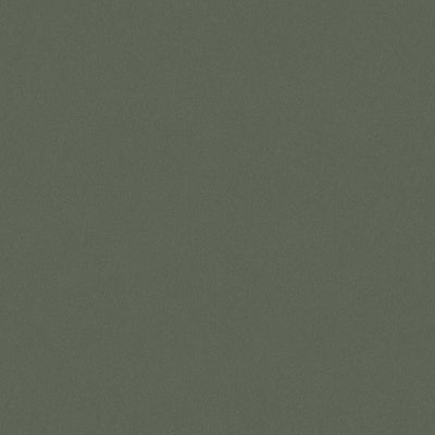 swatch image for Forest Sand
