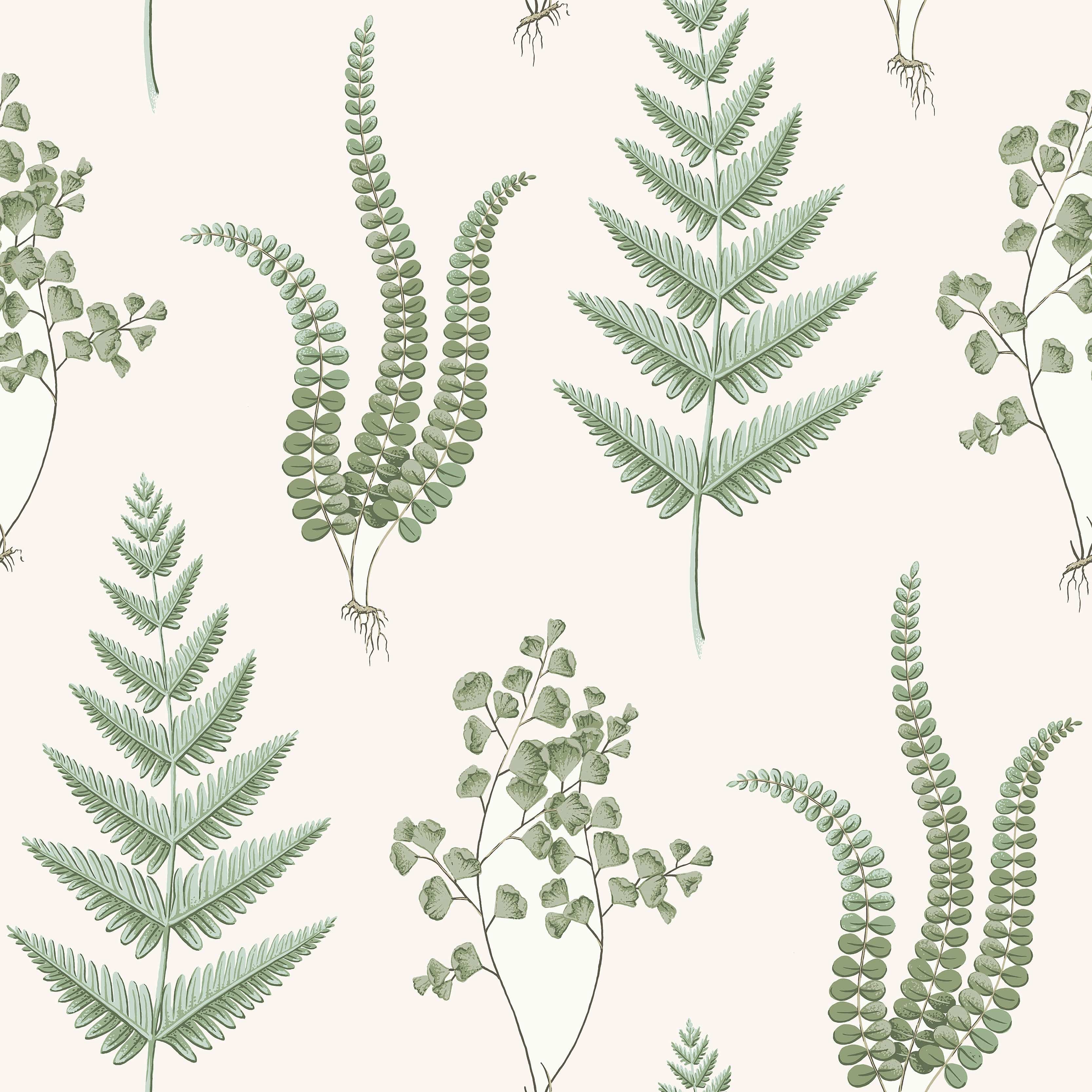 7657_Herba_Closeup.jpg