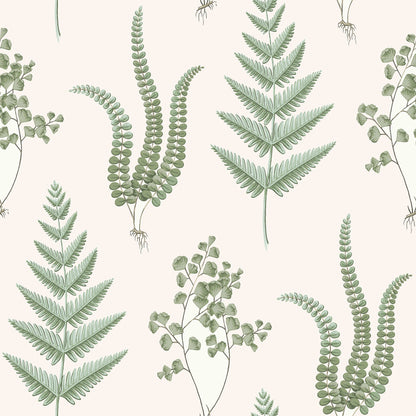 7657_Herba_Closeup.jpg