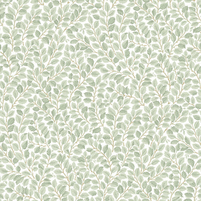 swatch image for Hazel