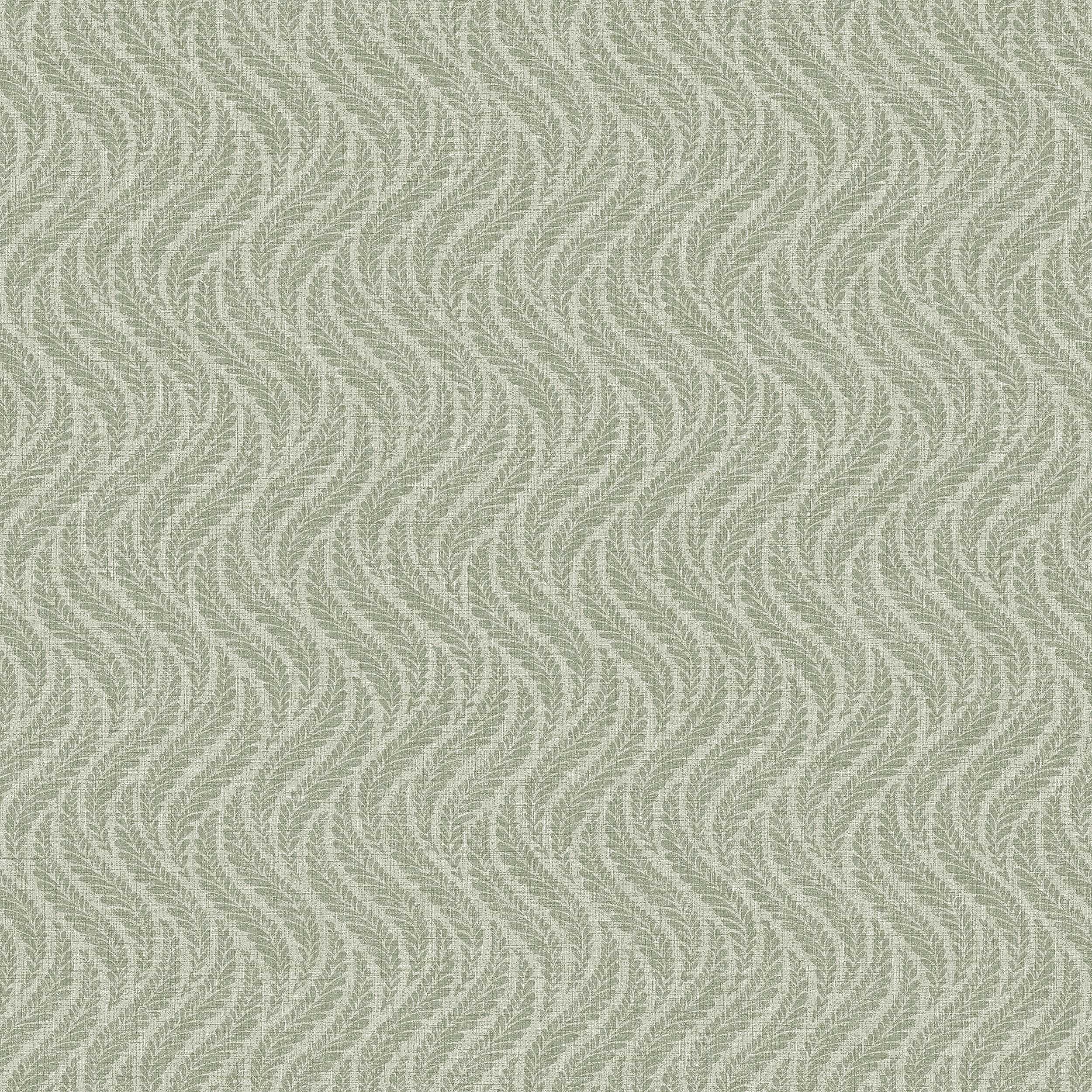 7772_LittleFern_Closeup.jpg