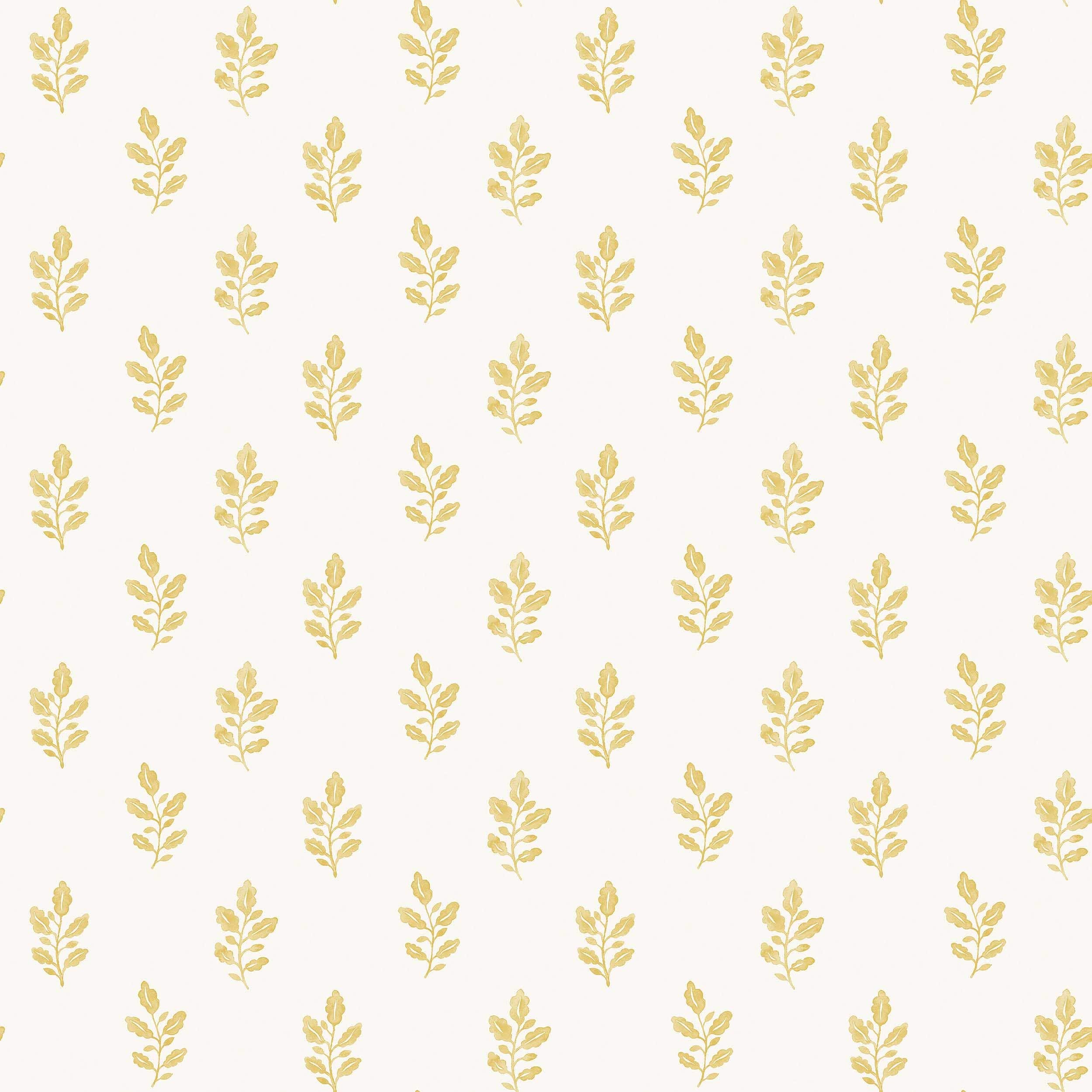 7774_LittleOak_Closeup.jpg
