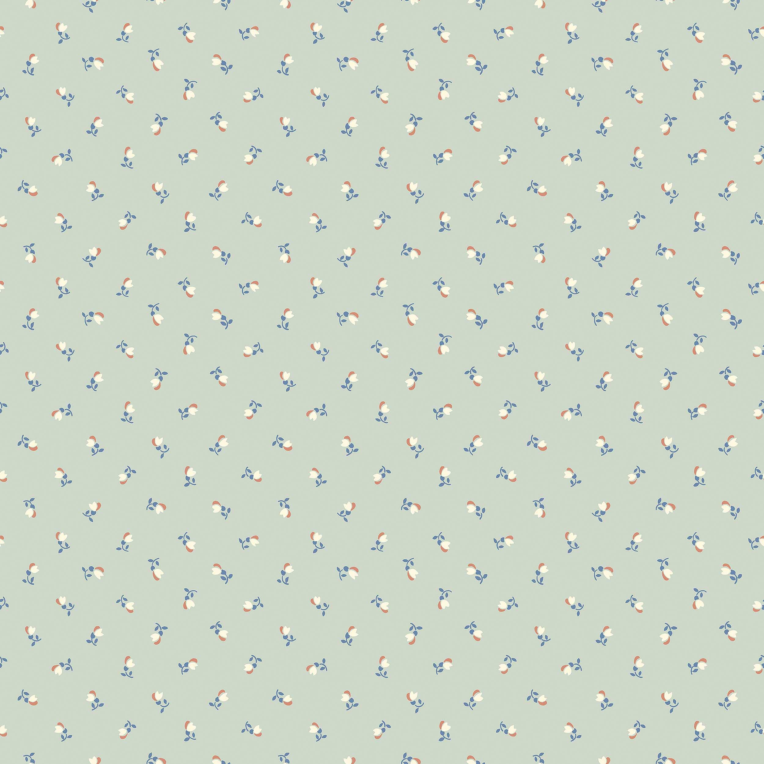7782_PetiteChérie_Closeup.jpg