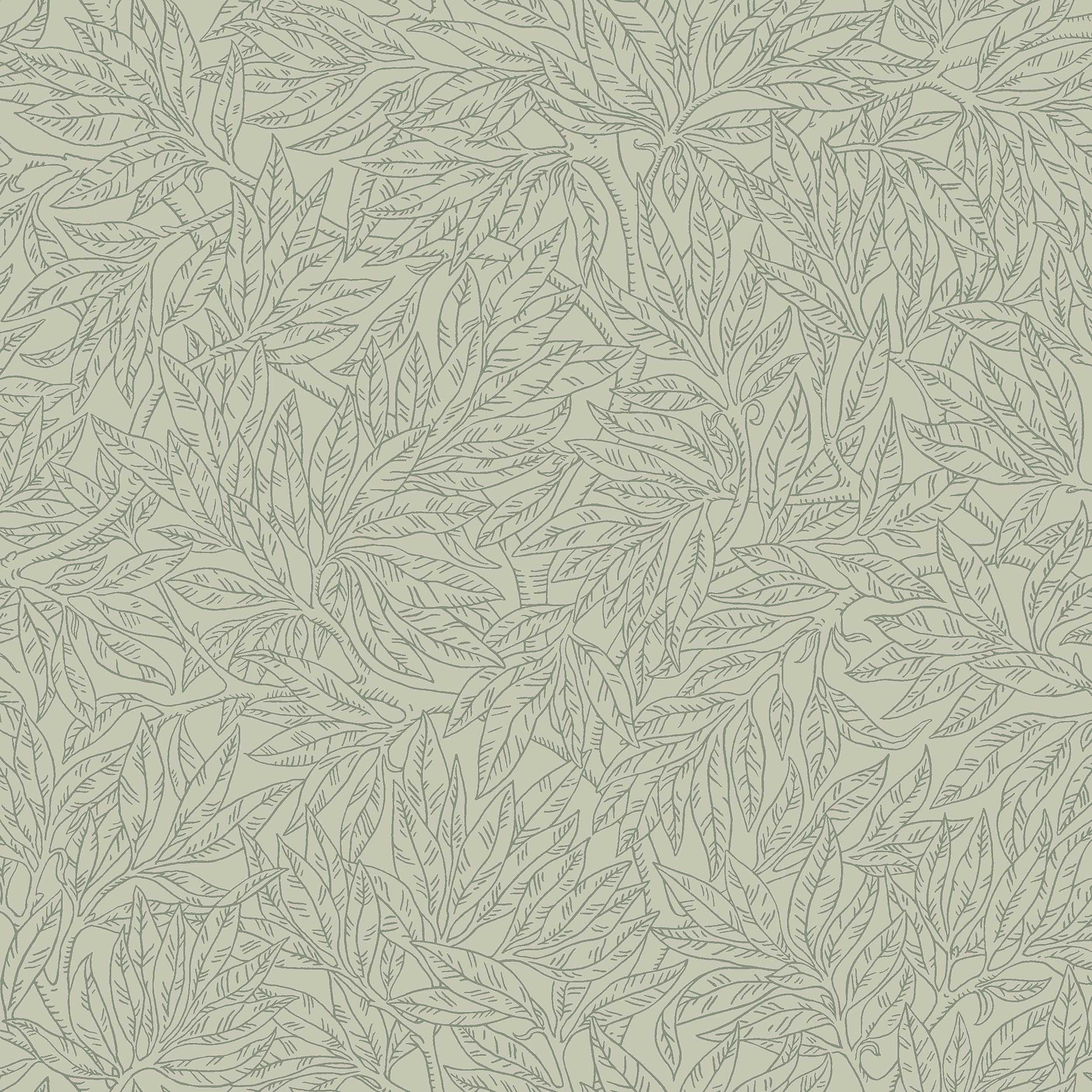 7787_SalixAlba_Closeup.jpg