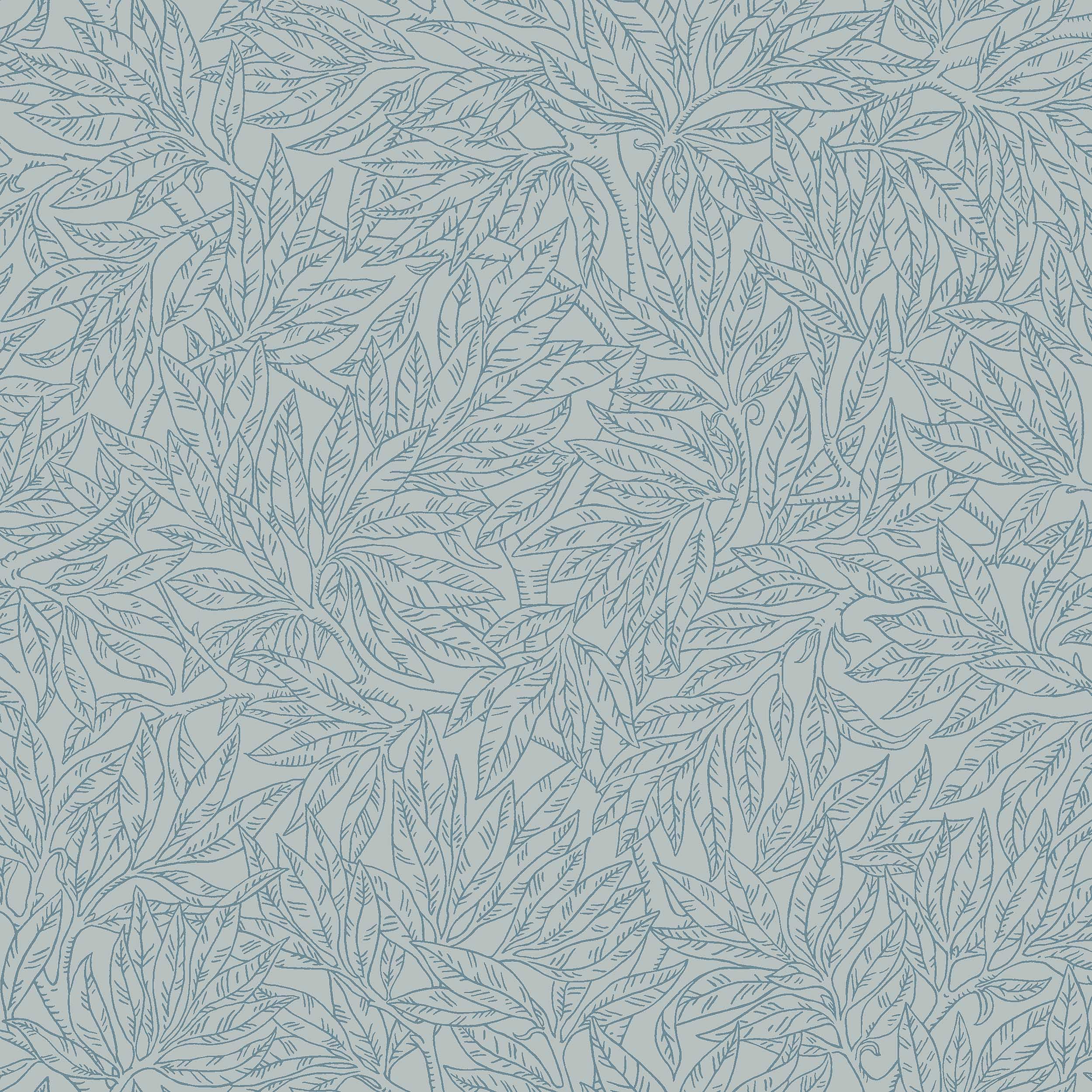 7788_SalixAlba_Closeup.jpg