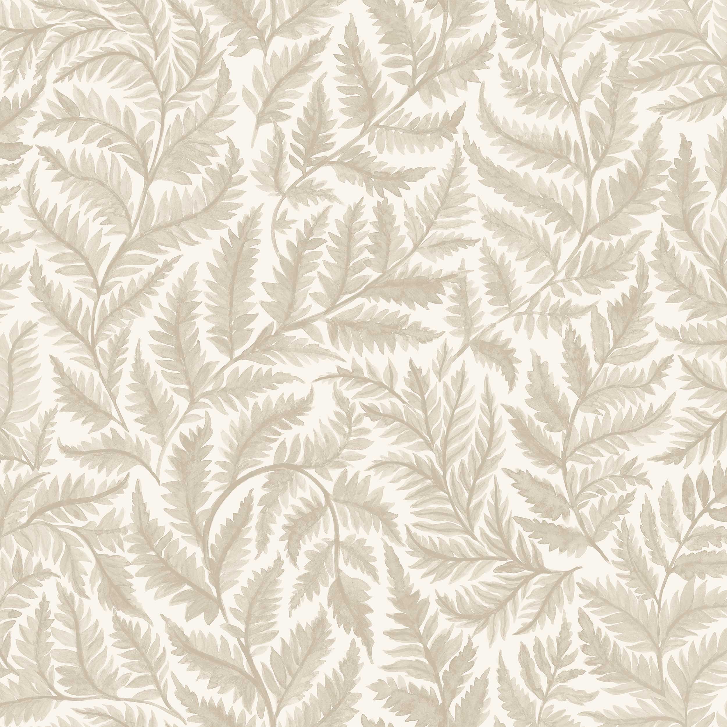 7789_Ferns_Closeup.jpg