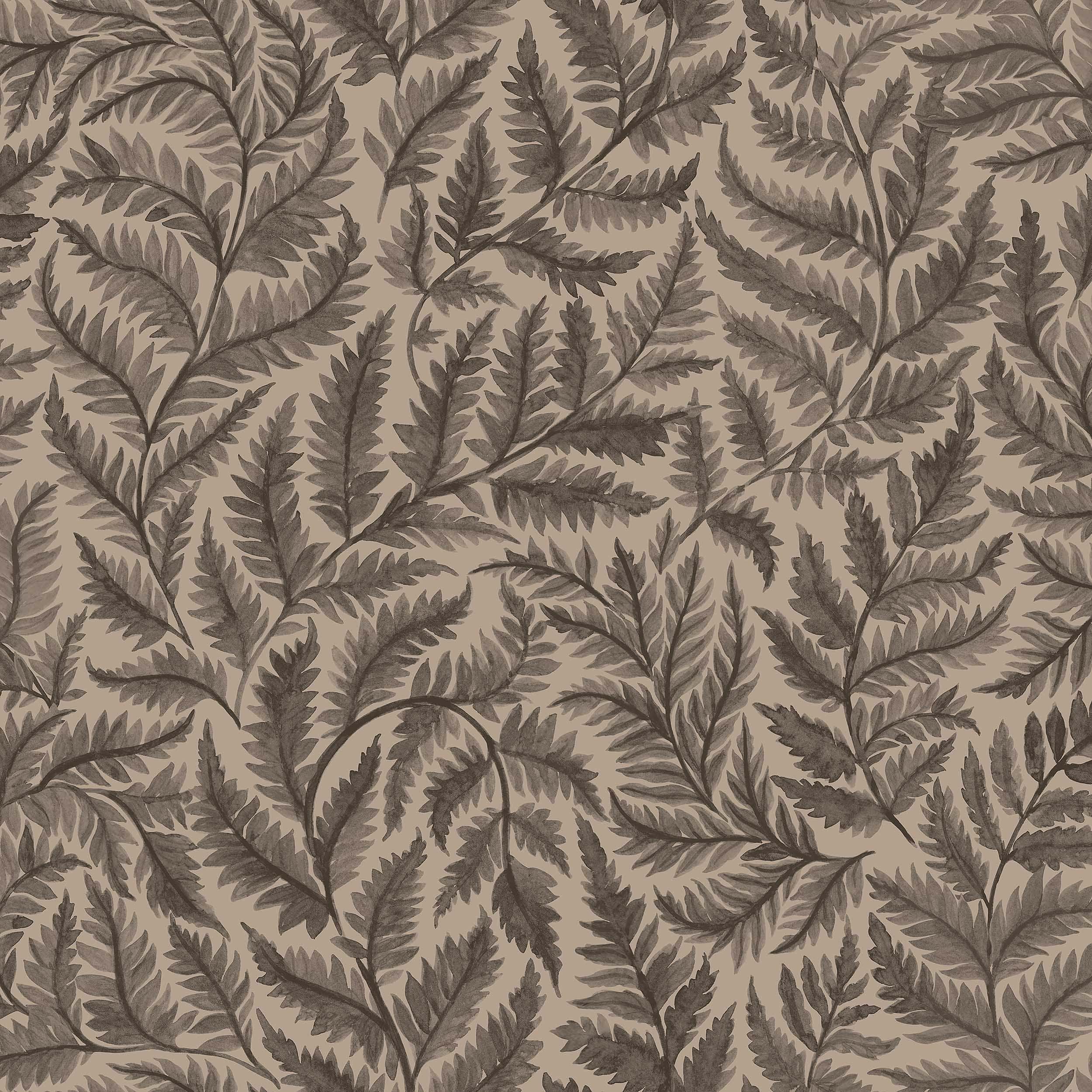 7793_Ferns_Closeup.jpg