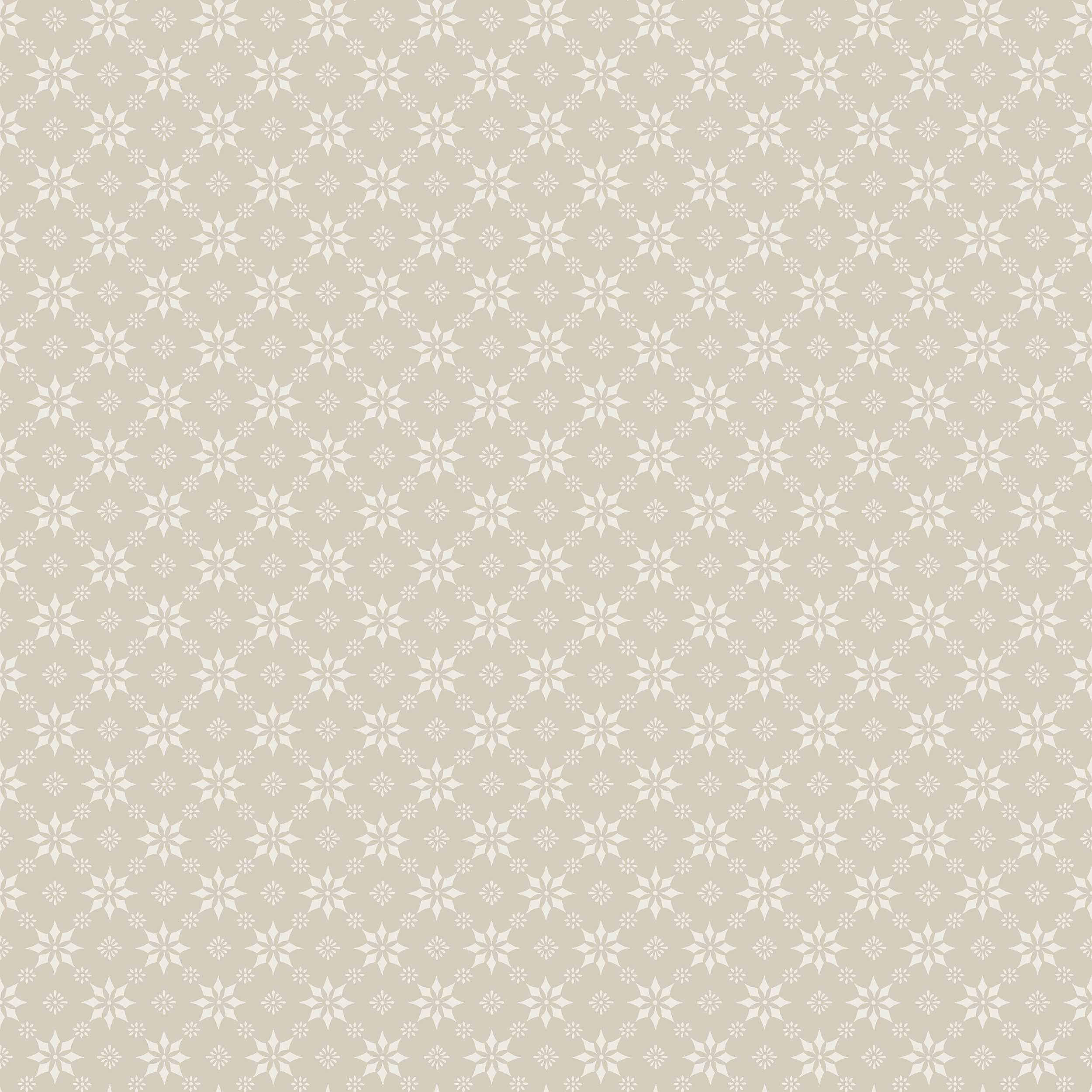 8068_Stella_Closeup.jpg