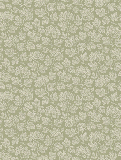 8083_Hagtorn_Closeup.jpg