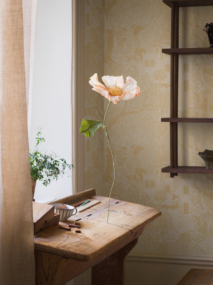 8145_KingdomOfTheWillow_Roomshot_5.jpg