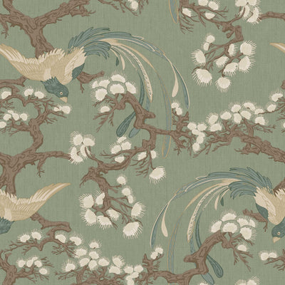 swatch image for Fenix