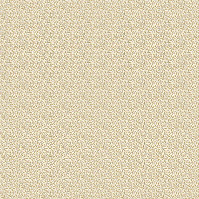 swatch image for Ida