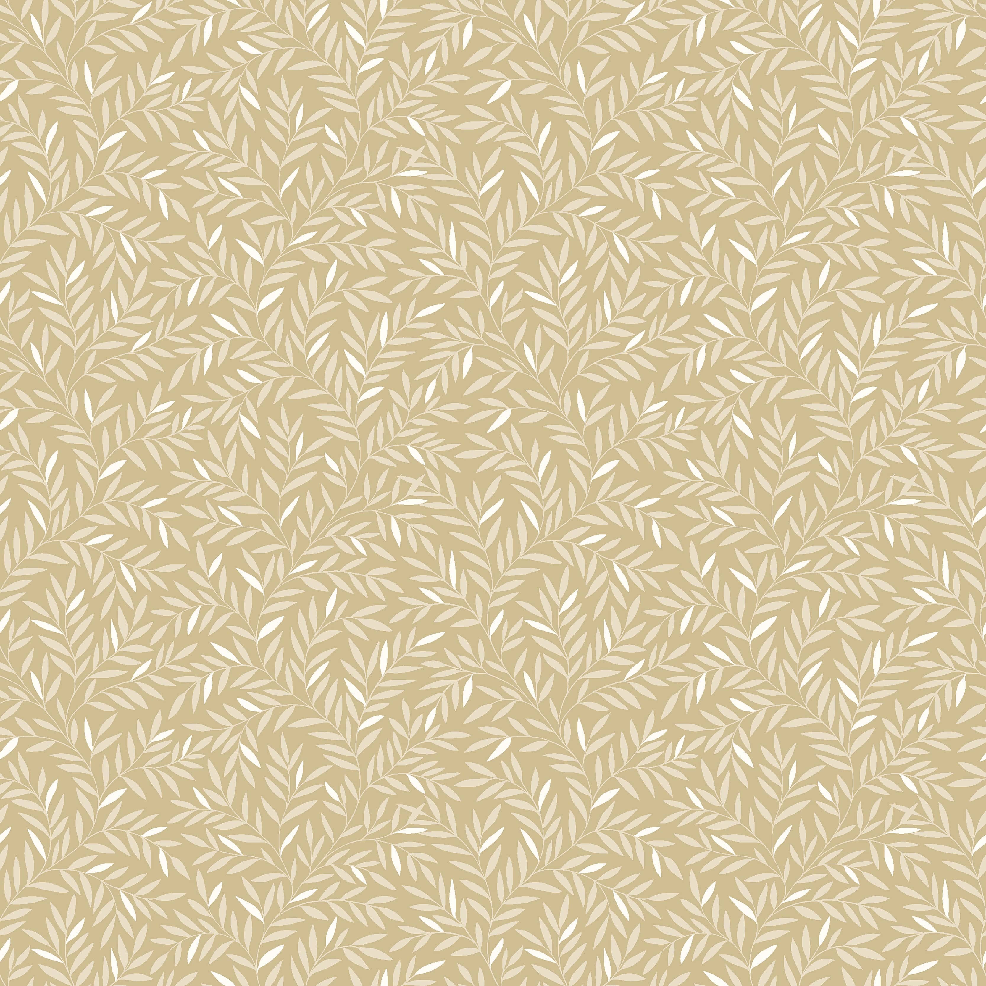 8612_Borosanpapper2021_Closeup.jpg