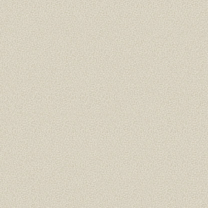 8629_Borosanpapper2021_Closeup.jpg