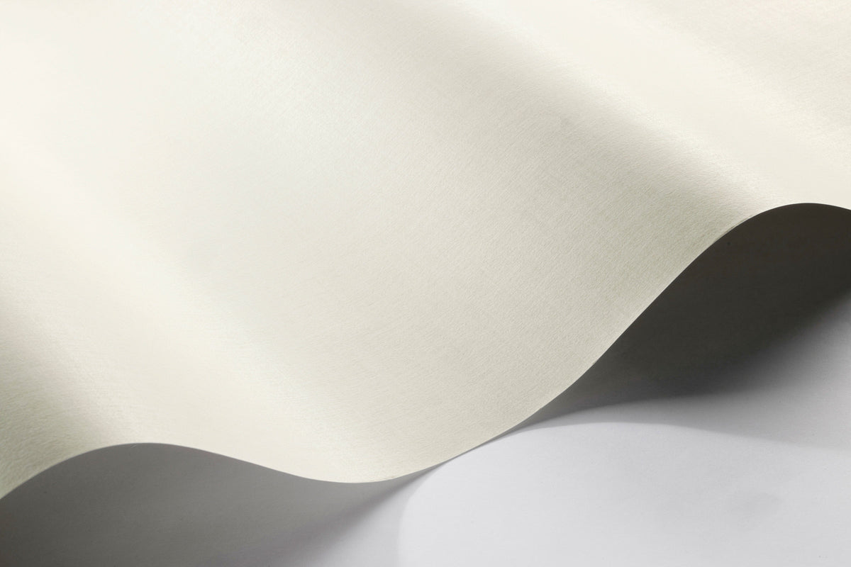 Borosan 8636 Paper Wallpaper, 8636, Beige wallpaper – Boråstapeter
