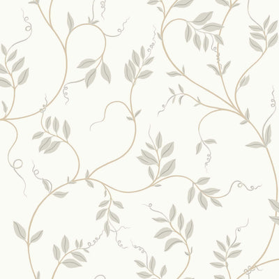 swatch image for Klockranka