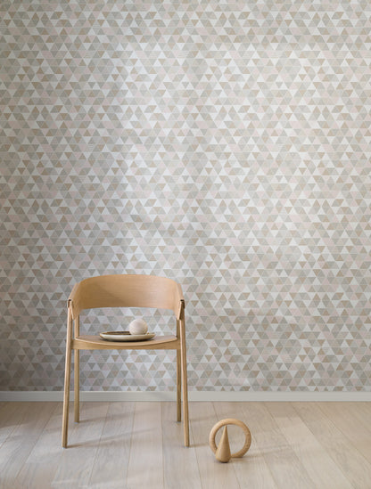 8810_Triangular_Roomshot.jpg