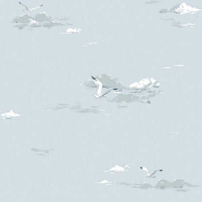 8856_Seaguls_Closeup.jpg