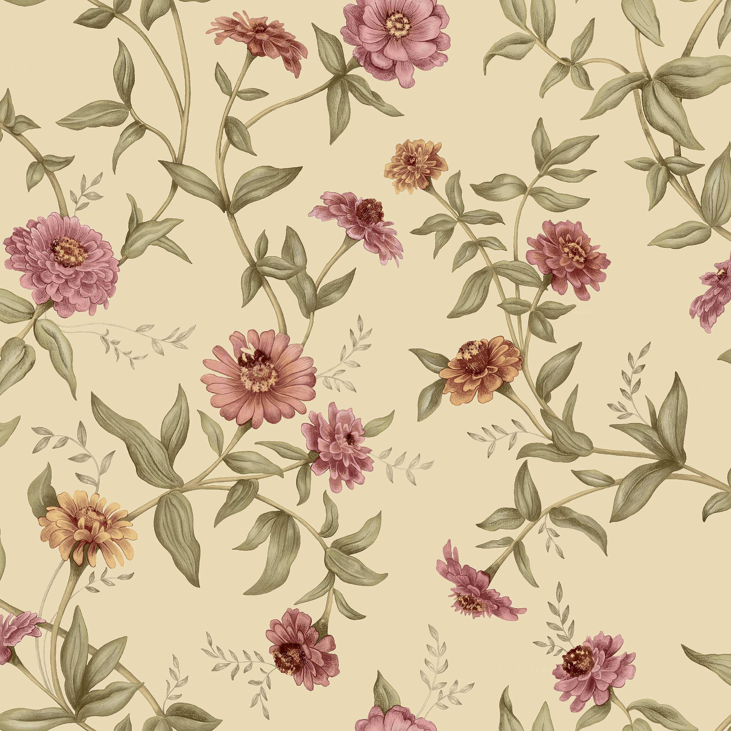 Zinnia