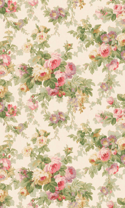 Sweet Dream Rose
