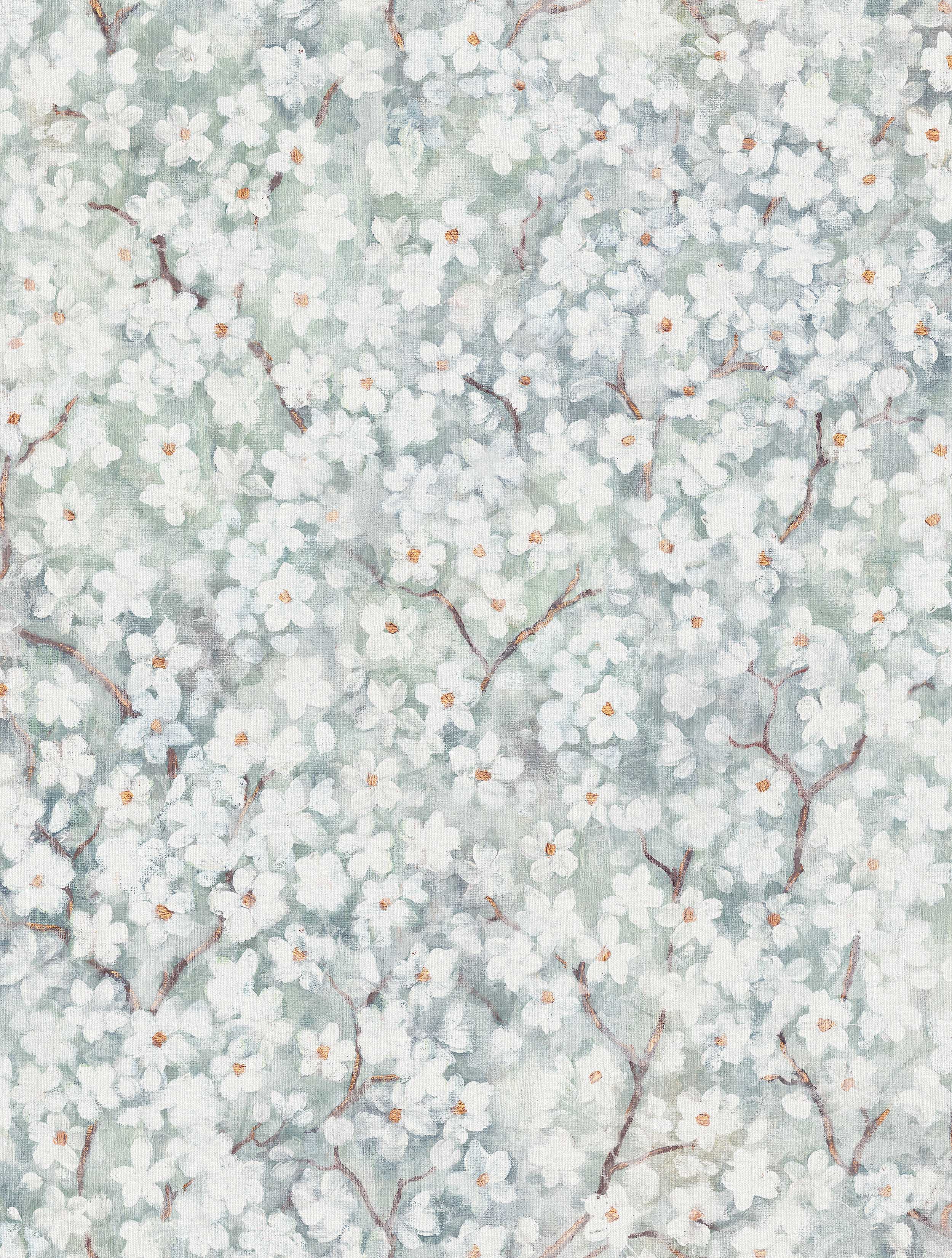 Hanami