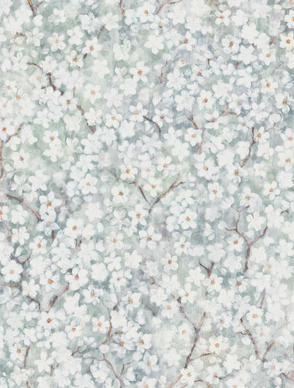 Hanami