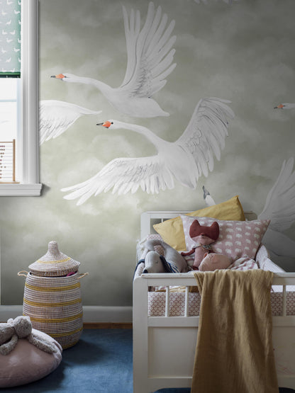 Clouds Swans