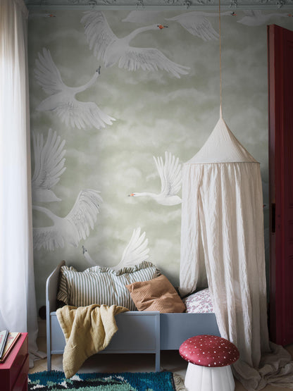 Clouds Swans