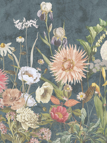 9417w_Dahlia_Closeup.jpg