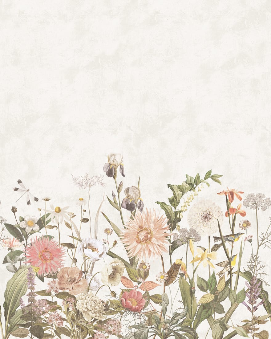 9418w_Dahlia_CroppedImage.jpg