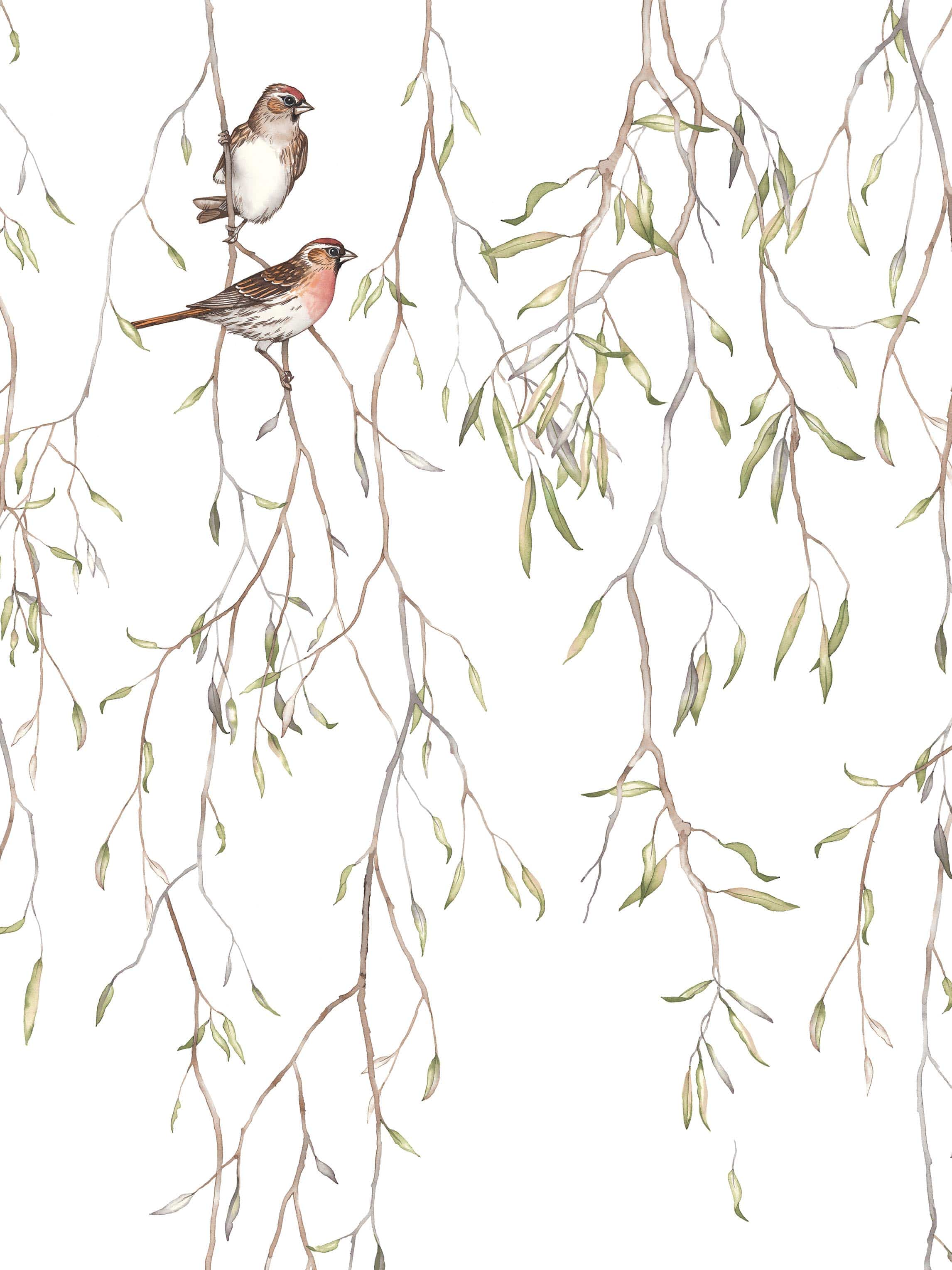 9447w_SpringBirds_Closeup.jpg